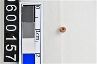 藏品(琉璃珠)的圖片