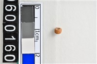 藏品(琉璃珠)的圖片