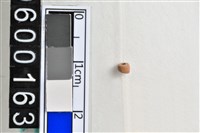 藏品(琉璃珠)的圖片