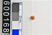 藏品(琉璃珠)的圖片