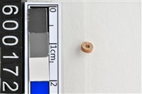 藏品(琉璃珠)的圖片