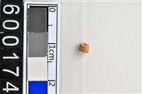 藏品(琉璃珠)的圖片