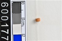 藏品(琉璃珠)的圖片