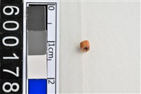 藏品(琉璃珠)的圖片
