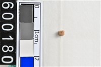 藏品(琉璃珠)的圖片