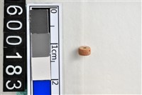 藏品(琉璃珠)的圖片