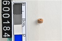 藏品(琉璃珠)的圖片