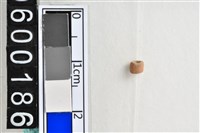 藏品(琉璃珠)的圖片