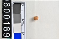 藏品(琉璃珠)的圖片