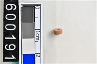 藏品(琉璃珠)的圖片