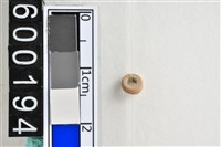 藏品(琉璃珠)的圖片