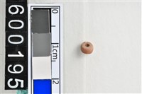 藏品(琉璃珠)的圖片