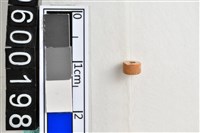 藏品(琉璃珠)的圖片