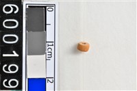 藏品(琉璃珠)的圖片