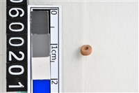 藏品(琉璃珠)的圖片