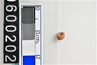 藏品(琉璃珠)的圖片