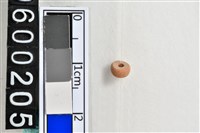 藏品(琉璃珠)的圖片