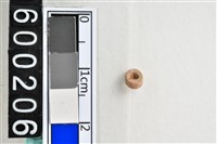 藏品(琉璃珠)的圖片