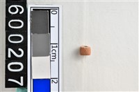 藏品(琉璃珠)的圖片