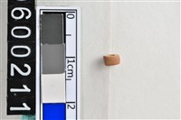 藏品(琉璃珠)的圖片