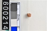 藏品(琉璃珠)的圖片