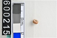 藏品(琉璃珠)的圖片