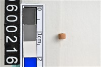 藏品(琉璃珠)的圖片