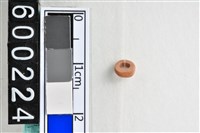 藏品(琉璃珠)的圖片