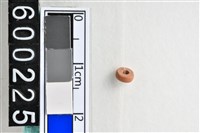 藏品(琉璃珠)的圖片