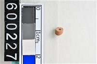 藏品(琉璃珠)的圖片