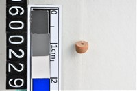 藏品(琉璃珠)的圖片