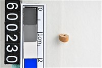 藏品(琉璃珠)的圖片