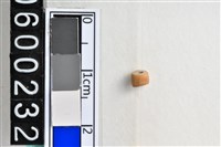 藏品(琉璃珠)的圖片