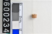 藏品(琉璃珠)的圖片