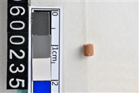 藏品(琉璃珠)的圖片