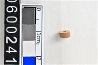 藏品(琉璃珠)的圖片