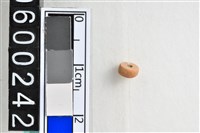 藏品(琉璃珠)的圖片