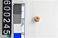 藏品(琉璃珠)的圖片