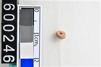 藏品(琉璃珠)的圖片