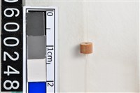 藏品(琉璃珠)的圖片