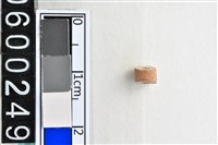 藏品(琉璃珠)的圖片