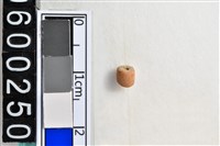 藏品(琉璃珠)的圖片