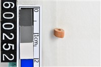 藏品(琉璃珠)的圖片