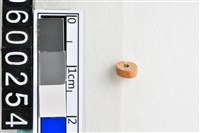 藏品(琉璃珠)的圖片