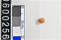 藏品(琉璃珠)的圖片