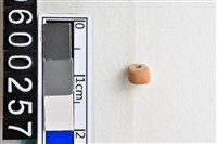 藏品(琉璃珠)的圖片