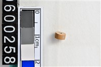 藏品(琉璃珠)的圖片