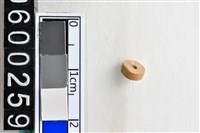 藏品(琉璃珠)的圖片