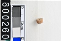 藏品(琉璃珠)的圖片