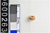 藏品(琉璃珠)的圖片